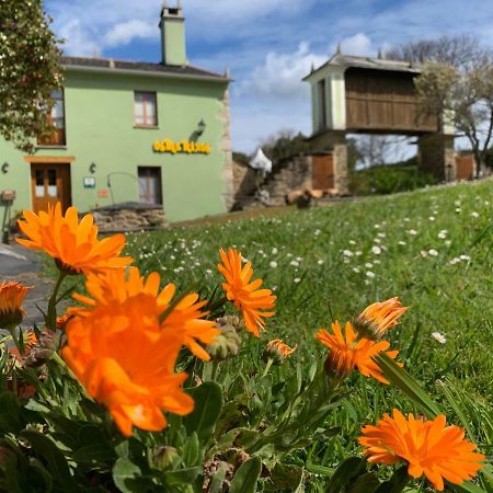 Maison d'hôtes Os Tres Teixos à San Acisclo Extérieur photo
