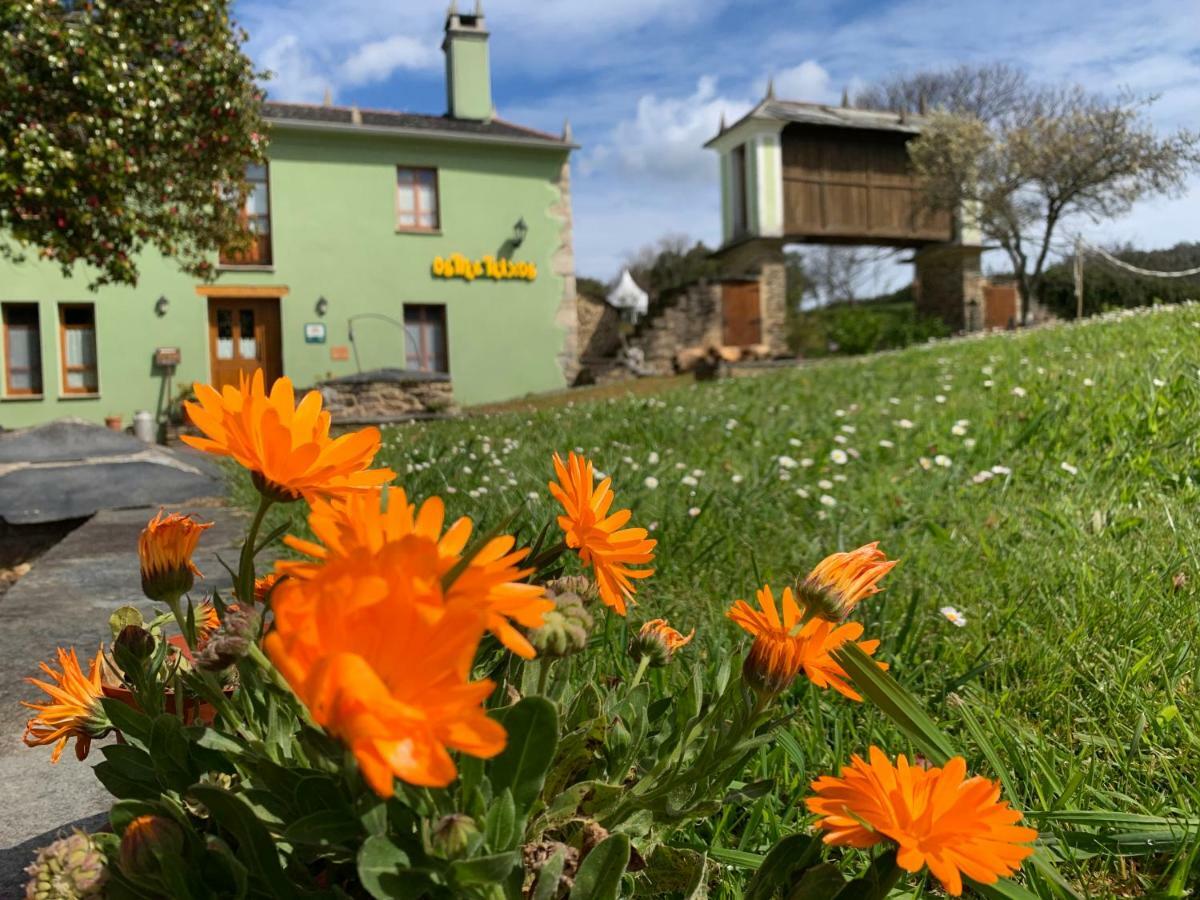 Maison d'hôtes Os Tres Teixos à San Acisclo Extérieur photo